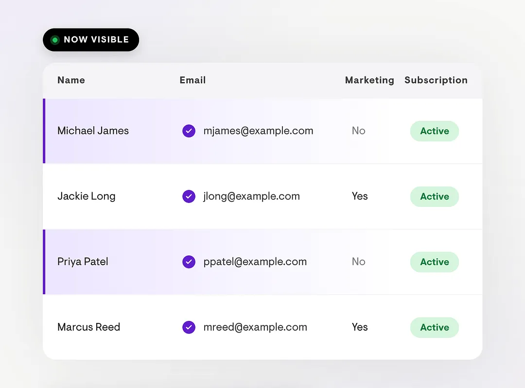 The Audience page in Playbook showing member names and email addresses fully visible